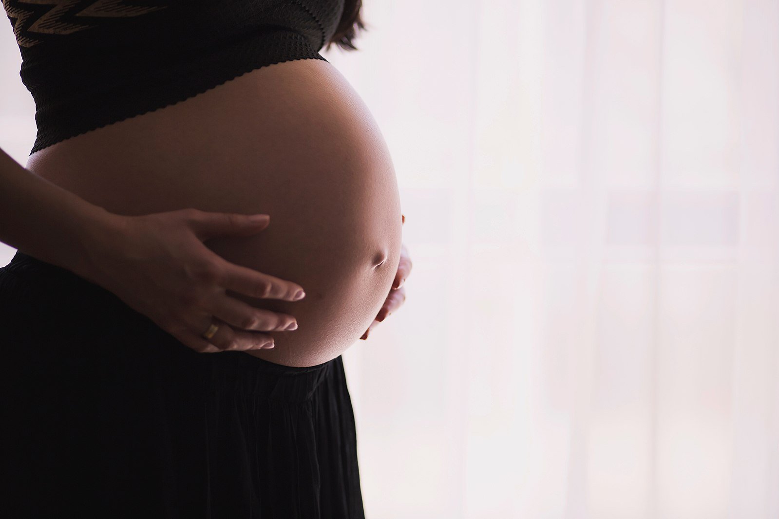 Casablanca: experts gathered to abolish gestational surrogacy in the world