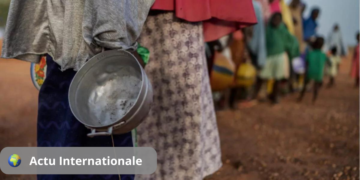 25-miljoen-nigerianen-gezicht-hongerseizoen-solderen.png