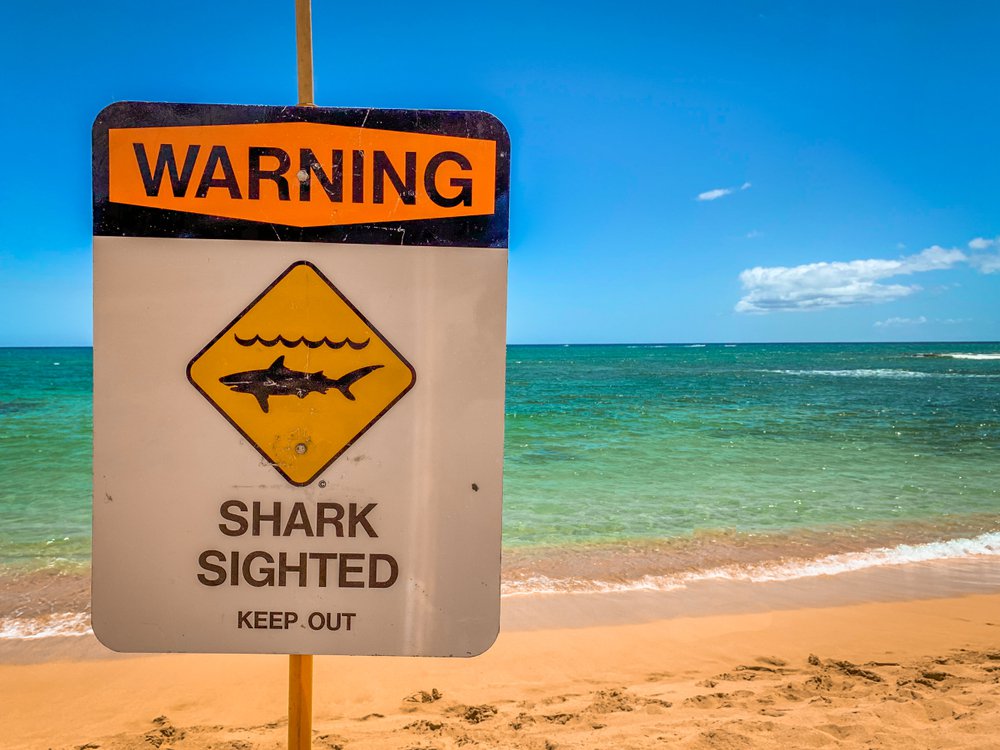 Útok tygřího žraloka na Havaji: „Mám ve svém životě Boha a hodně věřím, nikdy jsem si nemyslel, že zemřu“