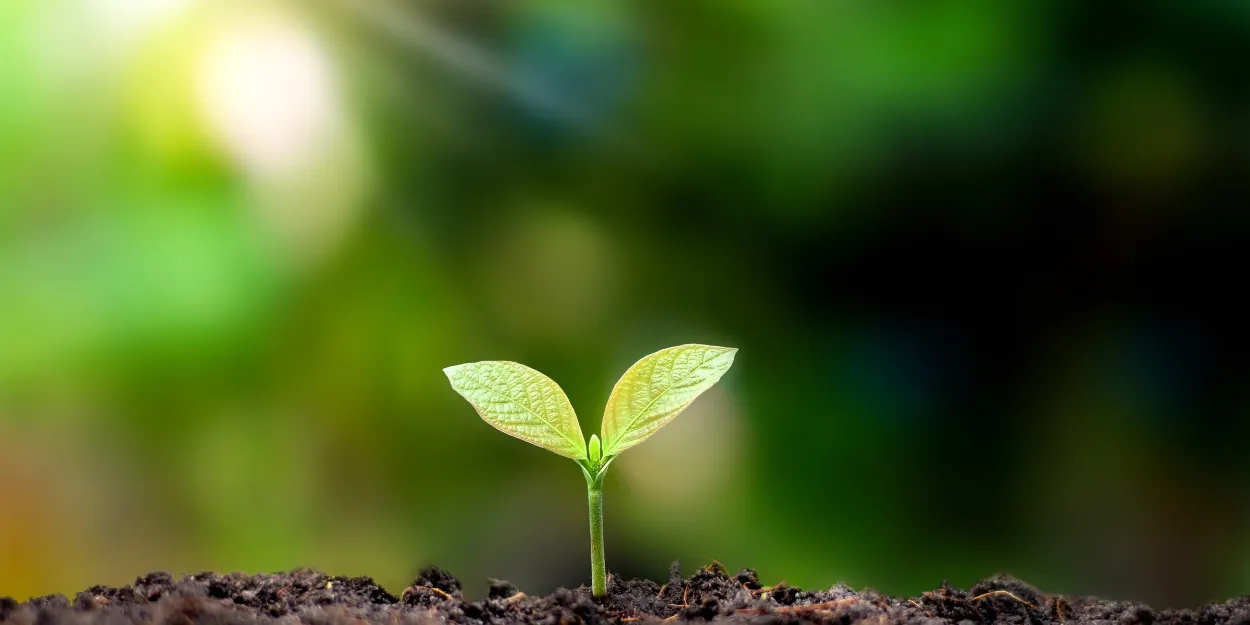 Écologie_question_semaine_FEP