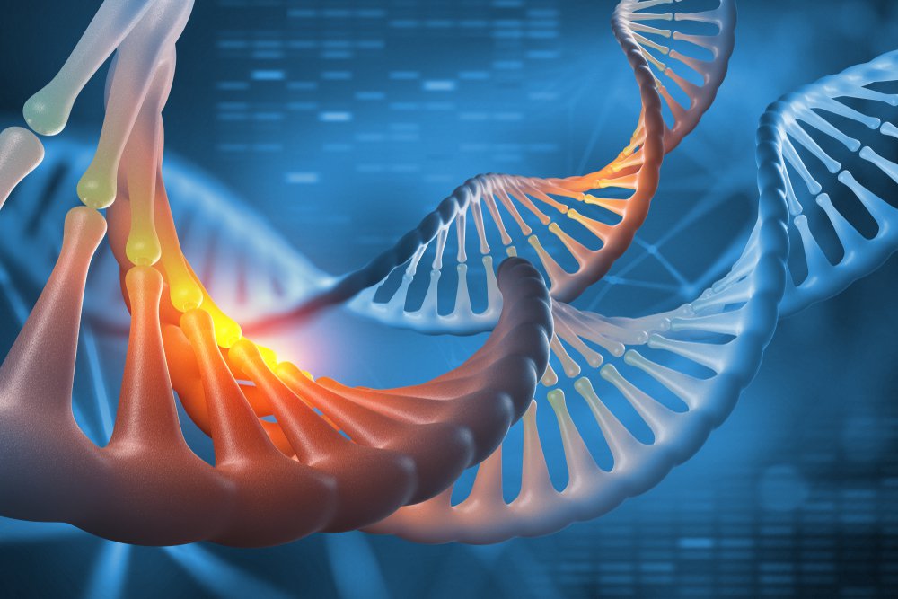 Bewerking van het menselijk genoom: wat hoopt en wat vreest