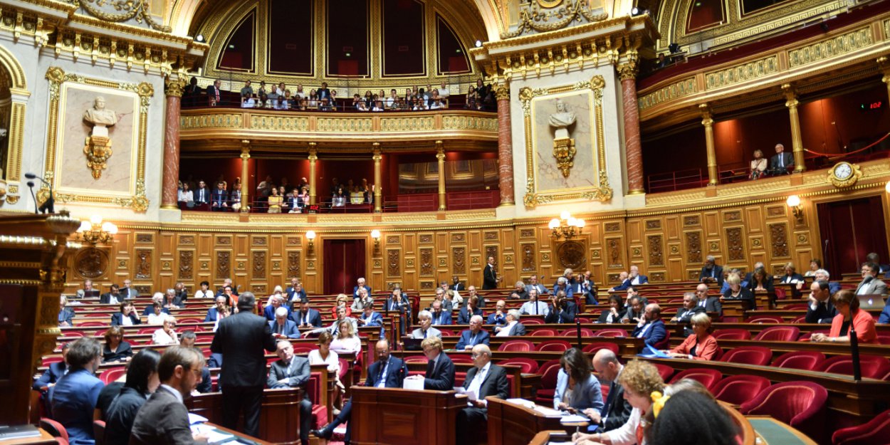 IVG dans la Constitution premier signe d'ouverture au Sénat, avant un vote à suspense