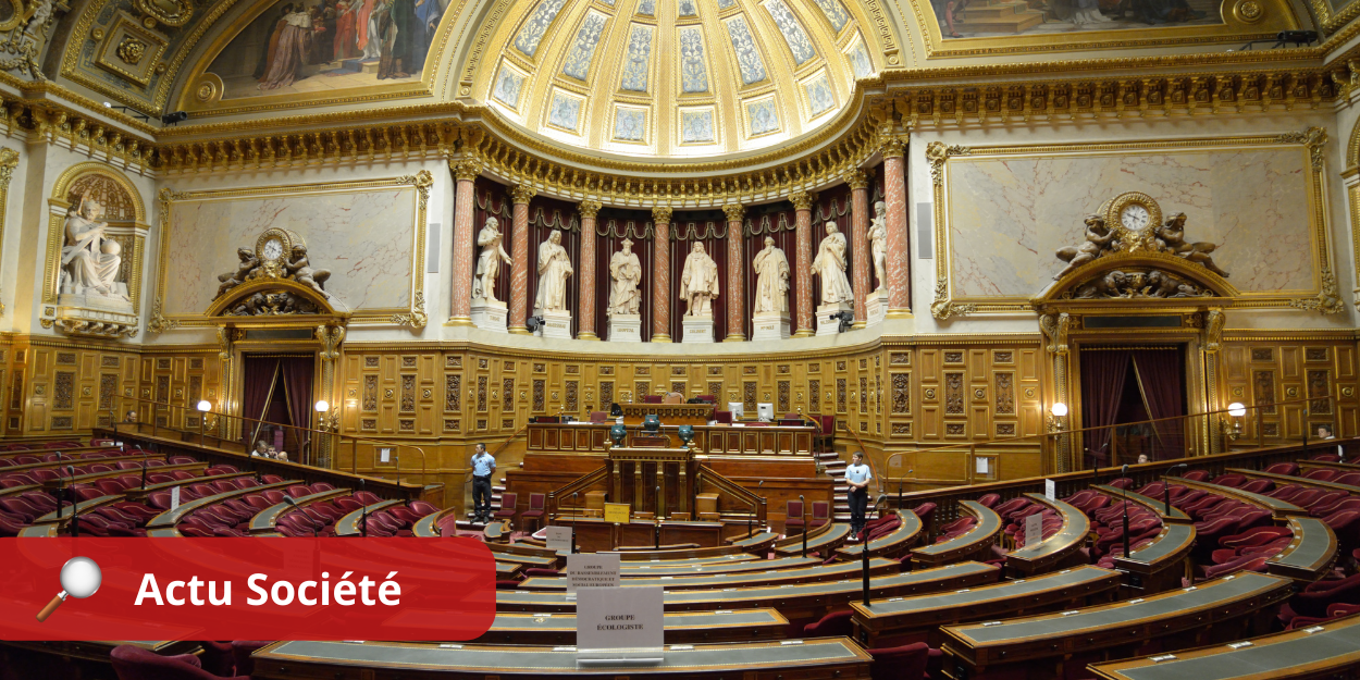 Senát hlasuje ve prospěch zápisu do ústavy-de-la-22liberte22-de-recourir-a-IVG.png