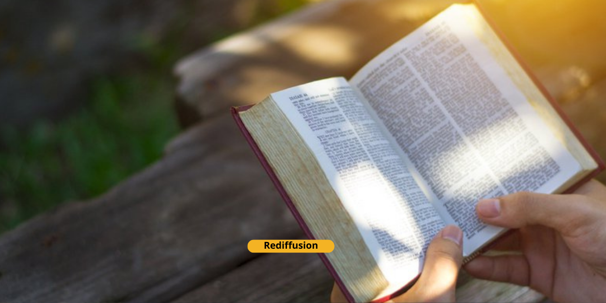 Los usuarios estadounidenses de la Biblia tienen más esperanza, según una encuesta