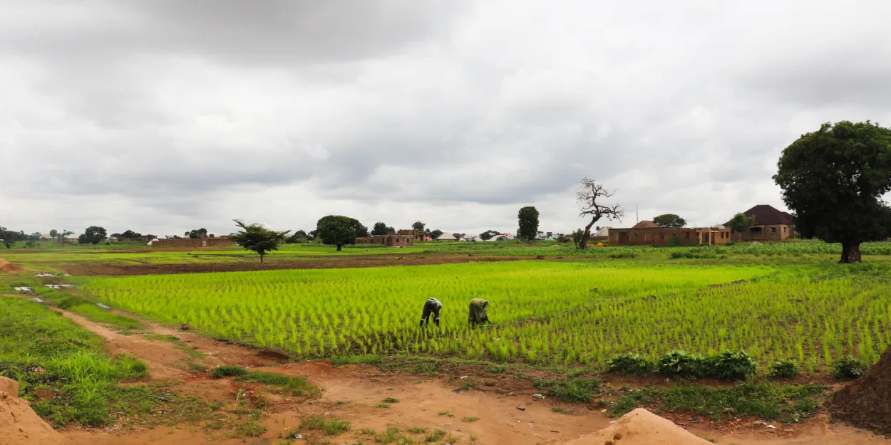 Nouvelle tragédie au Nigeria des terroristes enlèvent plus de 30 chrétiens