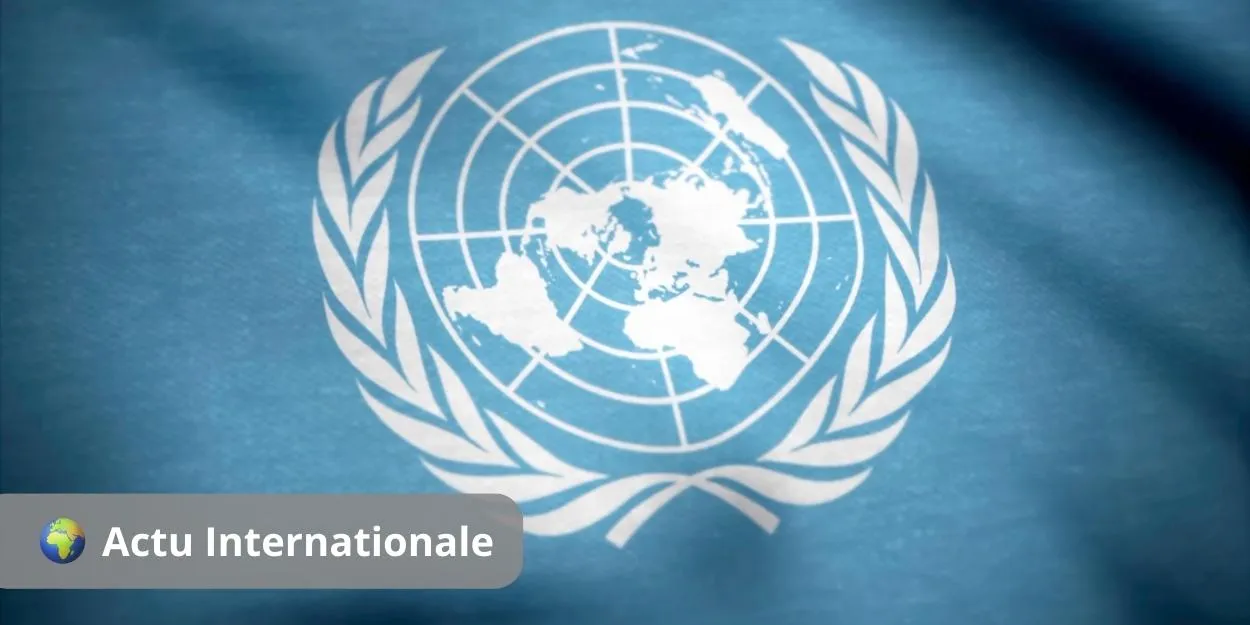 premiere_fois_un_rapport_onu_demande_interdiction_mondiale_gestation_autrui