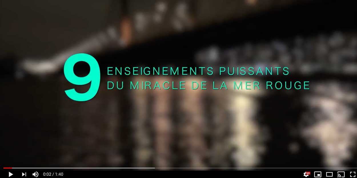 Sans-titre-1.jpg