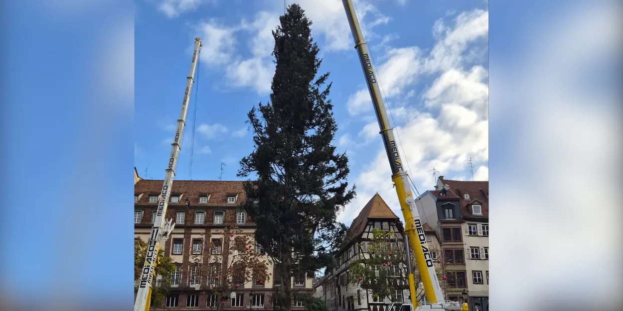 Strasbourg_sapin_prêt_marché_Noël_et_manifestations