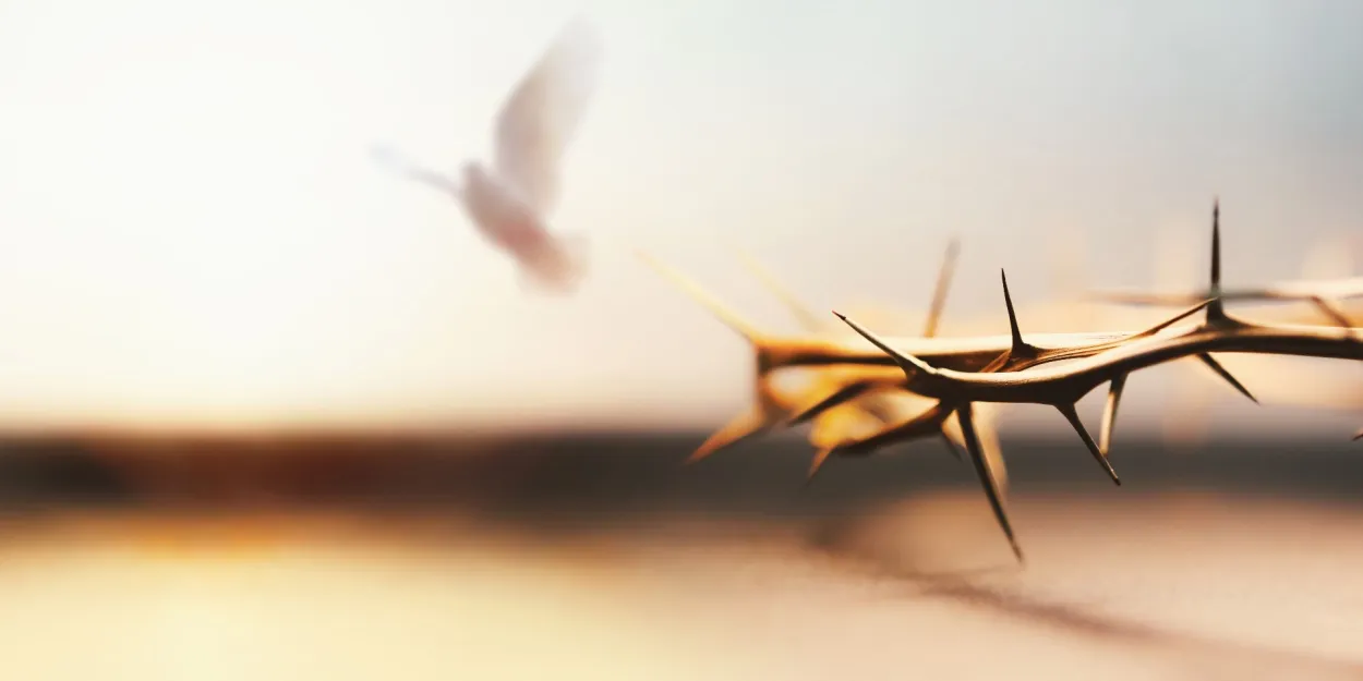 Tu es la lumière du monde ! | Présenciel - Un Moment avec Jésus