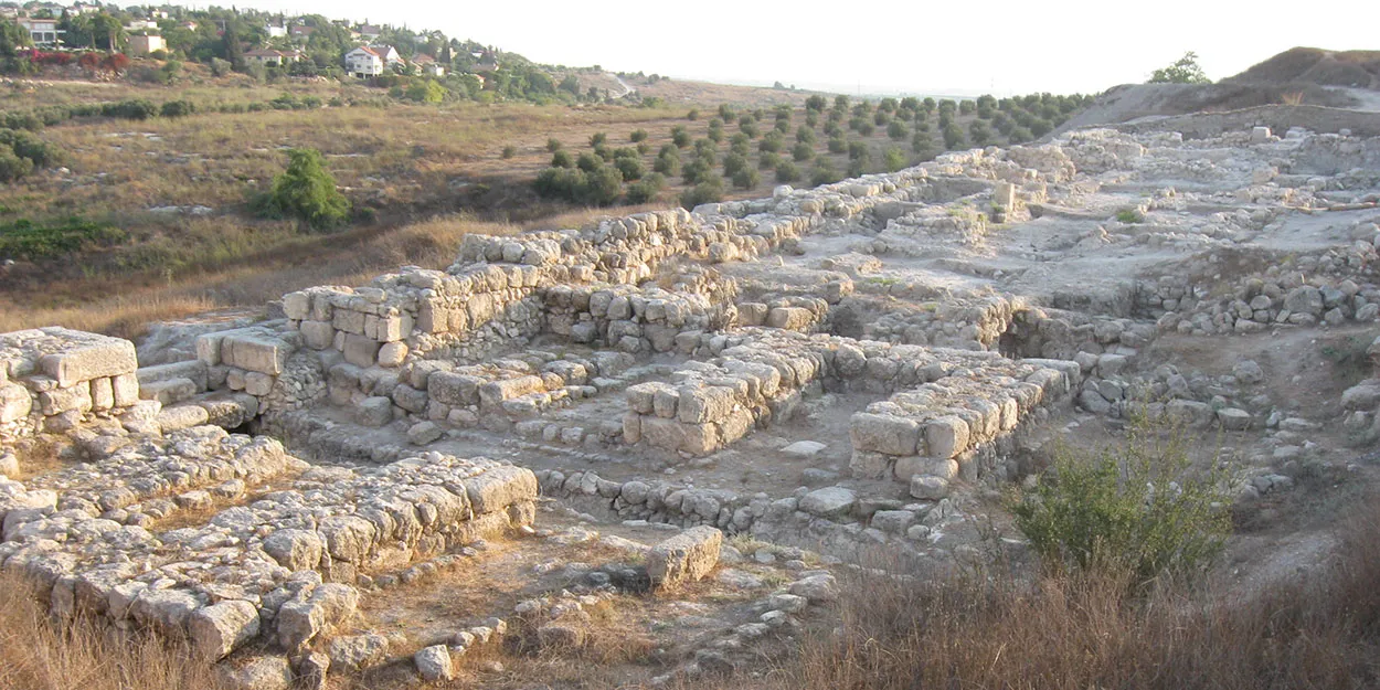 archeo-1.jpg