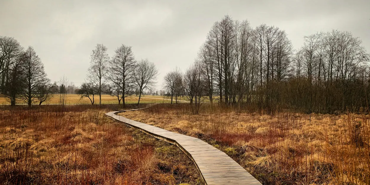 chemins_tordus_deviennent_droits_presenciel