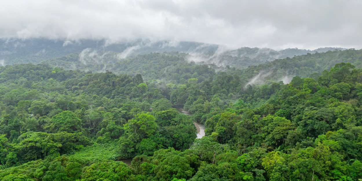 colombie_protestants_bientot_juges_deforestation