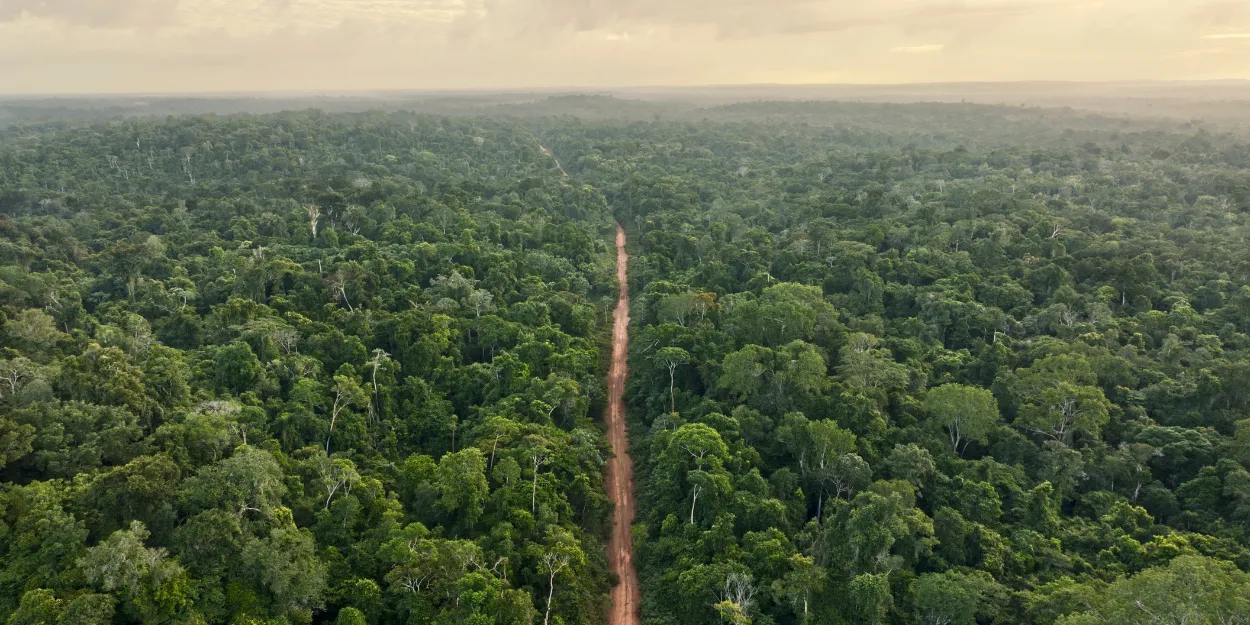 cop_30_amazonie_accueille_une_negociations_climatiques_plus_difficiles