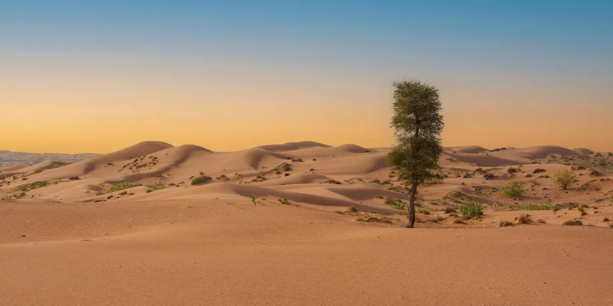 dans_lieu_aride_presence_oasis_presenciel