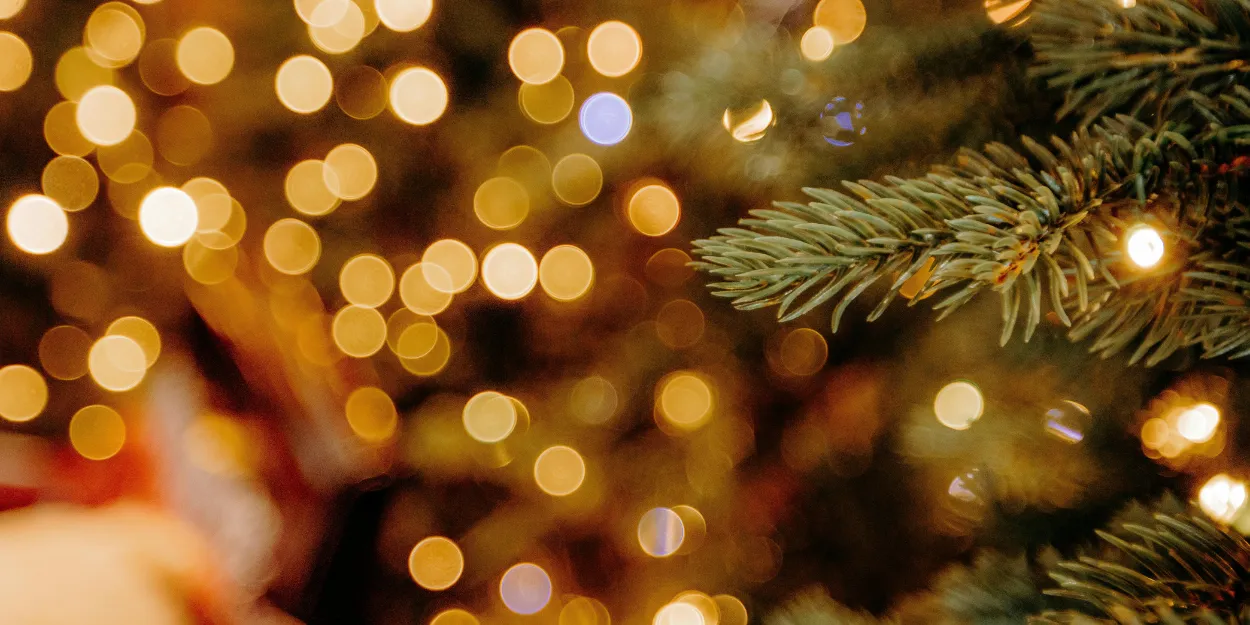 decembre_pas_epilogue_seuil_presenciel