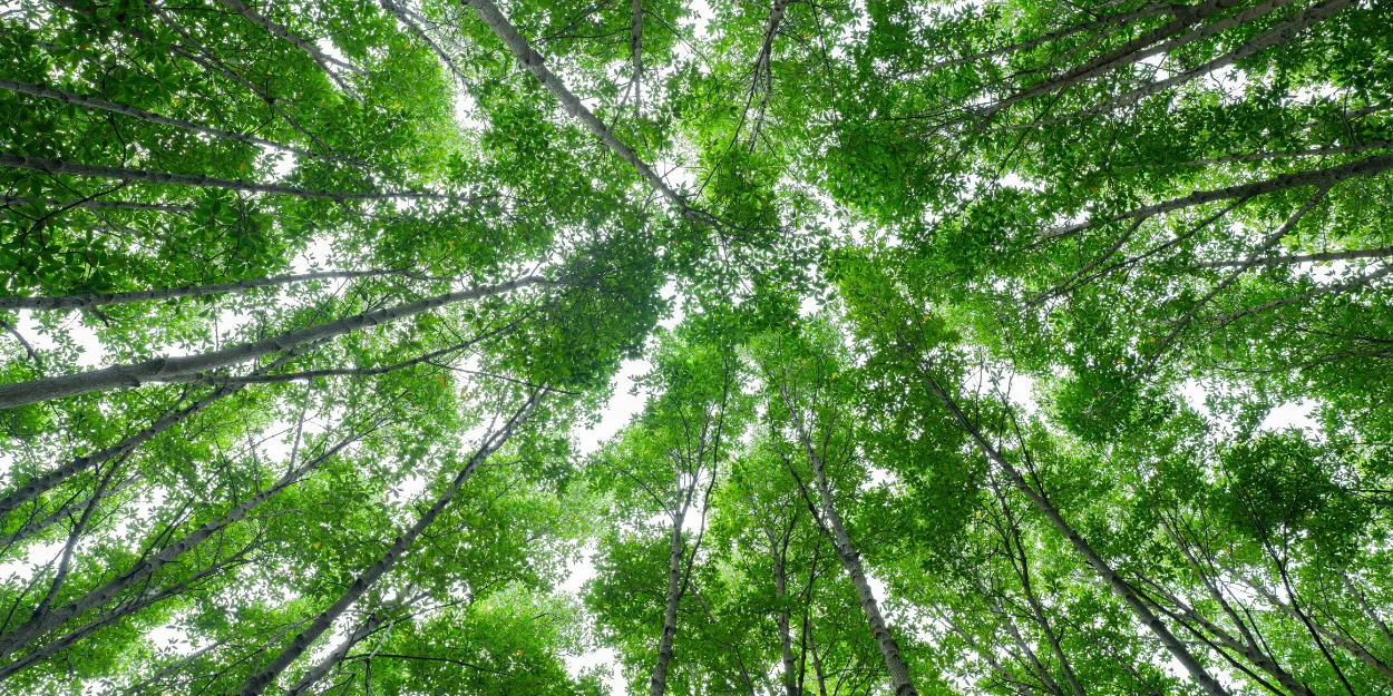 écologie_inclusive_entretien_secrétaire_général_association_Église_verte