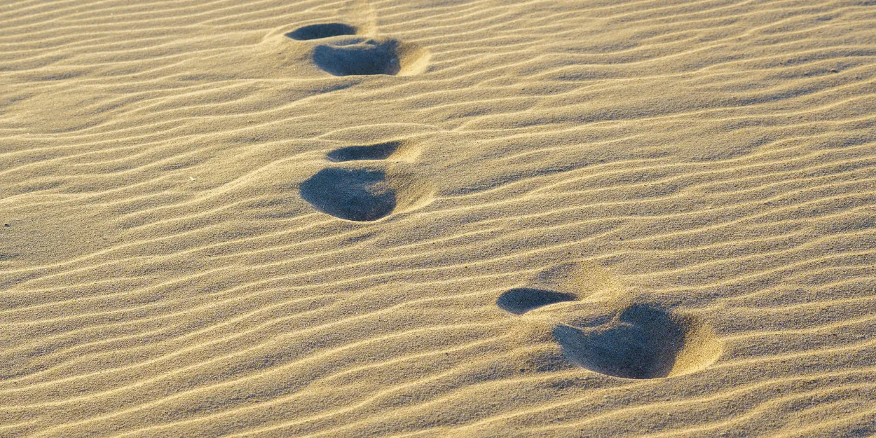 je_ne_t_ai_jamais_demande_sauver_presenciel