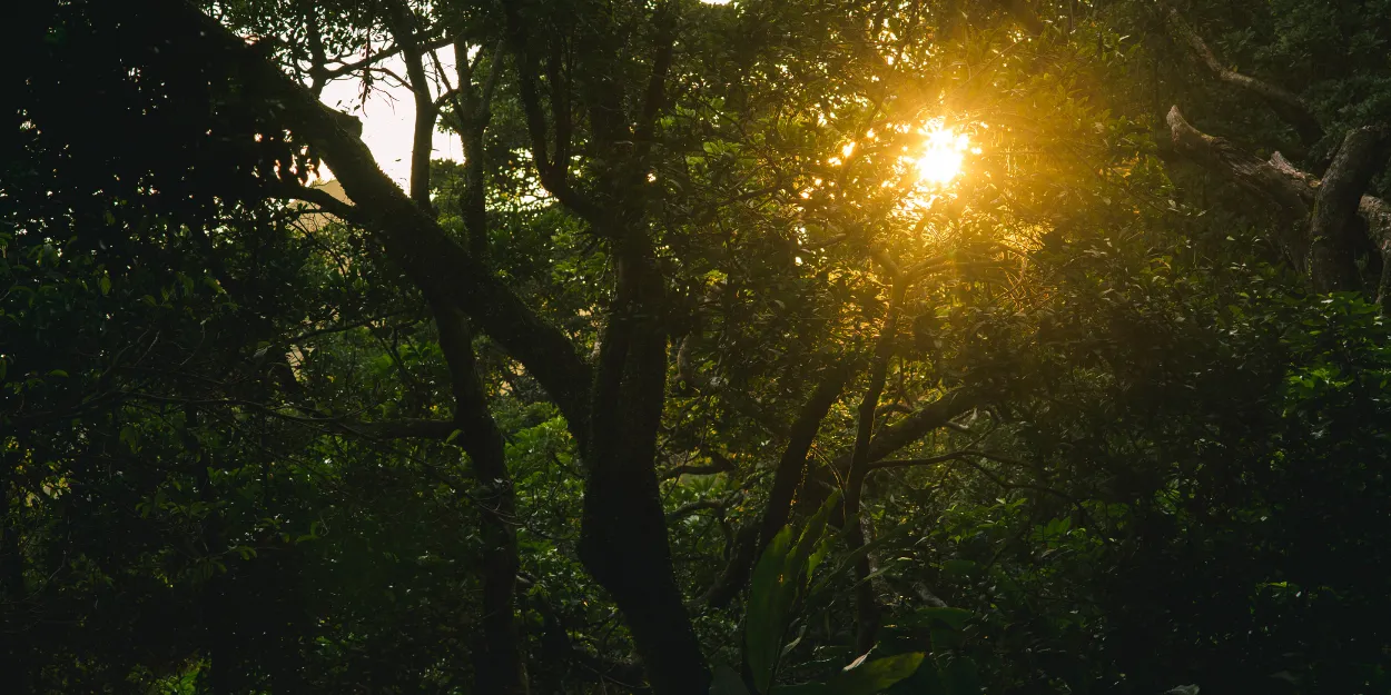 murmure_sincere_vaut_mille_prieres_presenciel