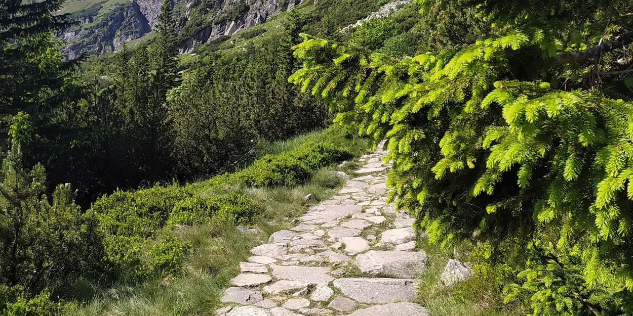 parole_trace_ton_chemin_presenciel