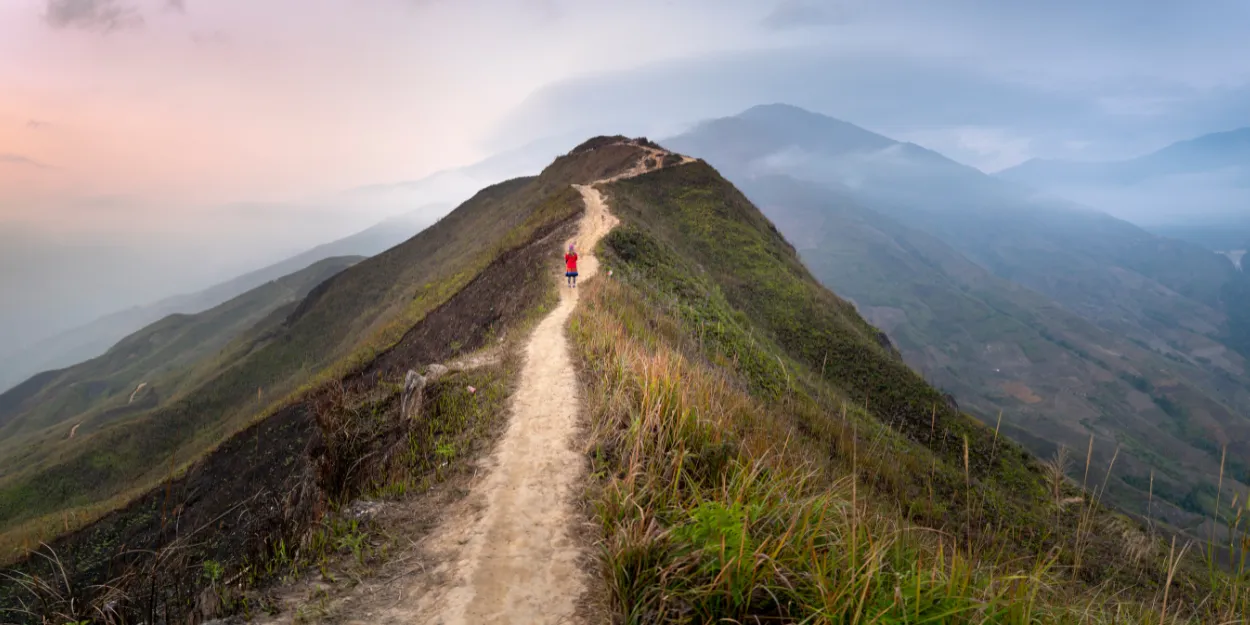 quand_tu_sais_plus_ou_aller_je_trace_chemin_presenciel