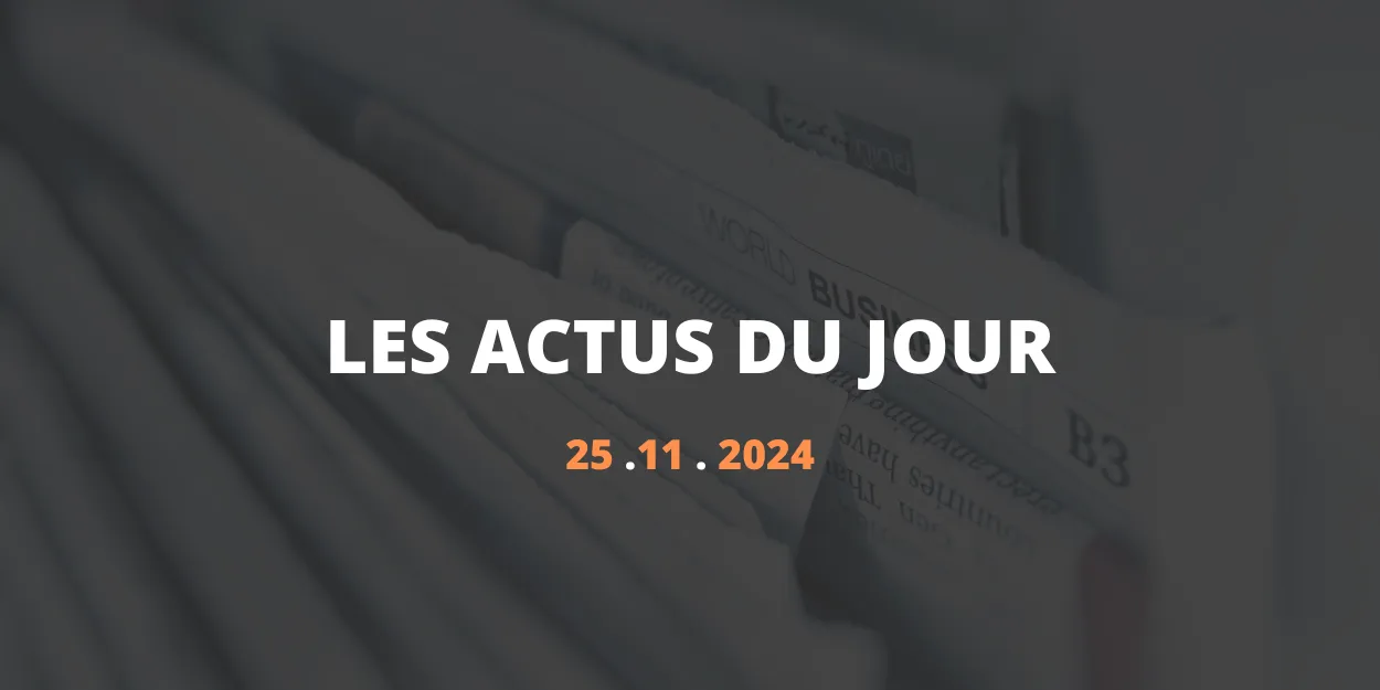 resume_article_25_novembre