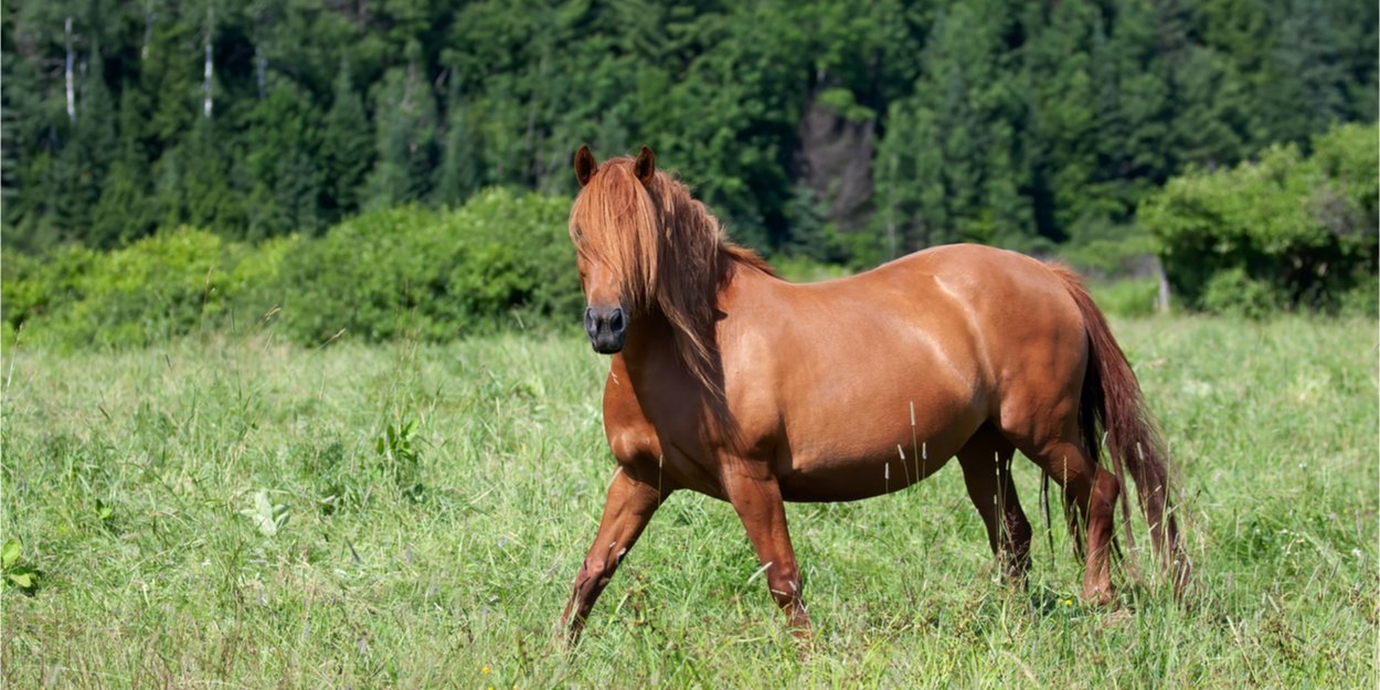 shutterstock_1718374498.jpg