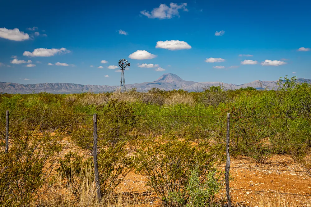 "Crier vers Dieu et Lui faire confiance" : contre la sécheresse, prier pour la pluie