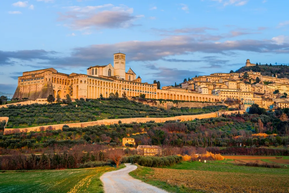 Près de 800 ans après sa mort, le message de François d’Assise connaît une riche postérité