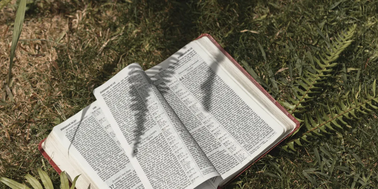 un_instant_effece_dix_huit_ans_courbure_presenciel