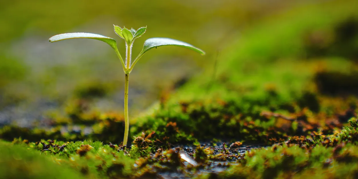 une_chute_doit_etre_nouveau_depart_presenciel