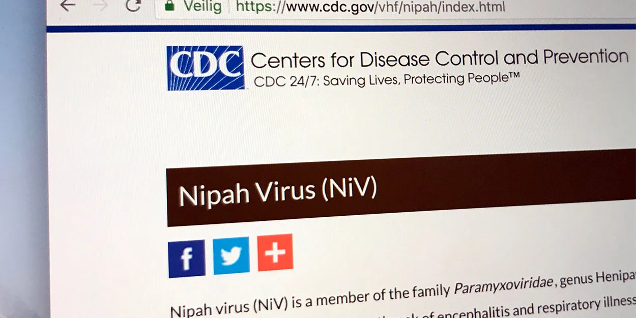 virus.jpg